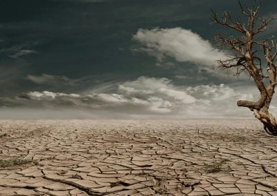 PRISM Climate